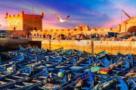 DAY TRIP ESSAOUIRA